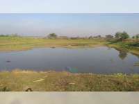 Ratusan Embung di Bojonegoro Alami Kekeringan, Pemerintah Imbau Petani Berhemat Air