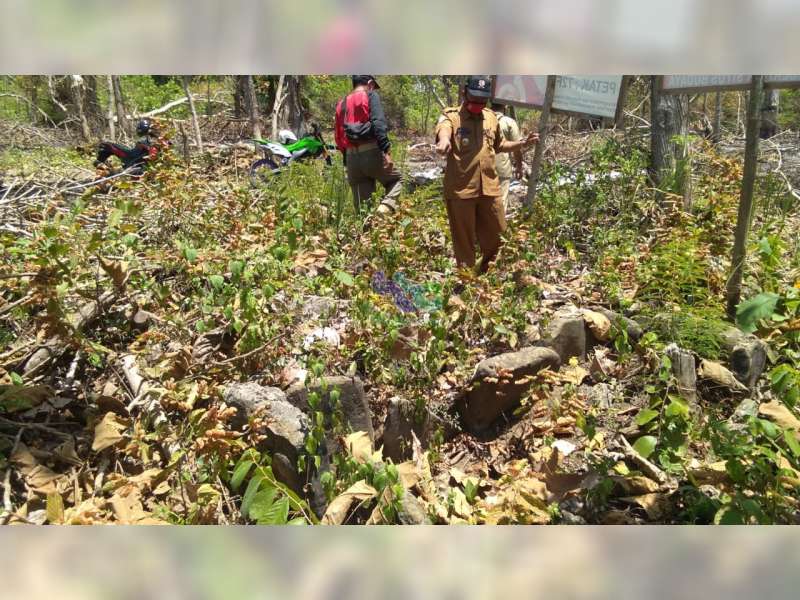 Situs Budaya Makam Wong Kalang di Hutan Jati Malo Bojonegoro, Kondisinya Tidak Terawat