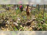 Situs Budaya Makam Wong Kalang di Hutan Jati Malo Bojonegoro, Kondisinya Tidak Terawat