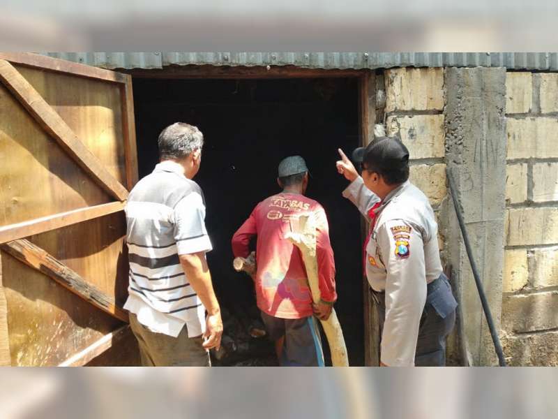 Gudang Pengeringan Tembakau di Temayang Bojonegoro Terbakar, Kerugia Rp 10 Juta