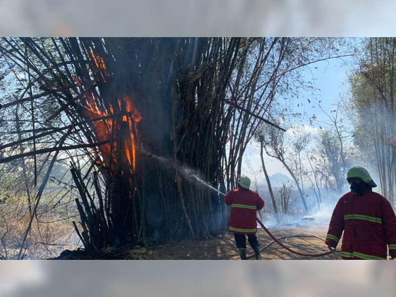 Hari Ini Di Bojonegoro Terjadi 4 Peristiwa Kebakaran Rumpun Bambu Beritabojonegoro Com