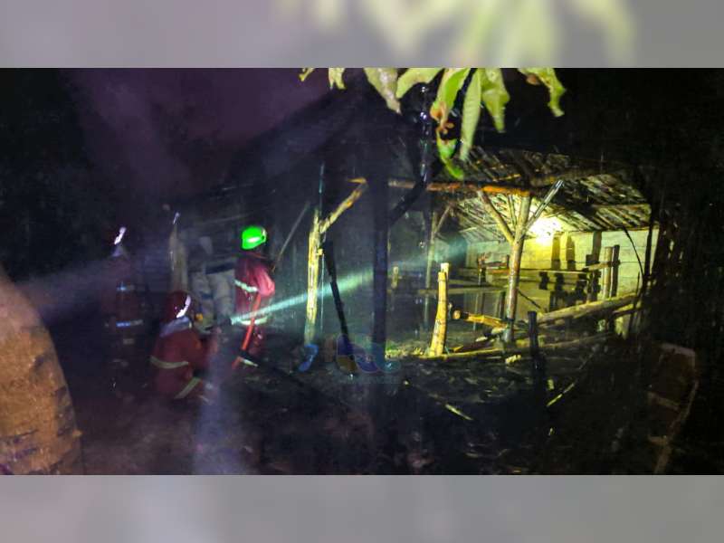 Diduga Akibat 'Bediang', Kandang Sapi Milik Warga Baureno Bojonegoro Terbakar