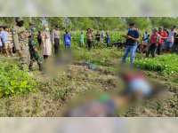 4 Orang Warga Kanor Bojonegoro, Meninggal Dunia Akibat Tersengat Listrik Jebakan Tikus di Sawah