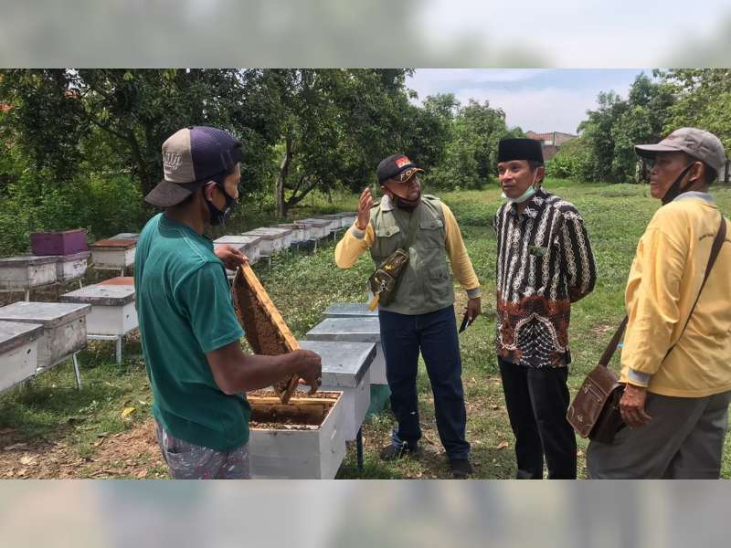 Kunjungi Panen Madu, Wakil Bupati Apresiasi Petani Madu Bojonegoro