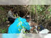 Cari Bonsai, Seorang Warga Dander Bojonegoro Ditemukan Meninggal Dunia di Hutan