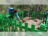 Pemerintah Desa Bleboh, Blora, Mulai Kembangkan Wisata Budaya Makam Wong Kalang
