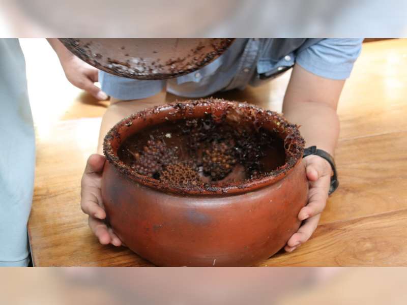 Warga Blora ini Budidaya Madu Klanceng, Diyakini Mampu Sembuhkan Covid-19