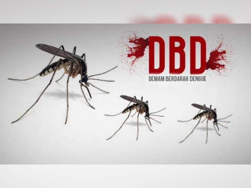 Jelang Musim Hujan, Pemkab Bojonegoro Imbau Masyarakat Waspadai Demam Berdarah