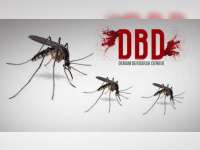 Jelang Musim Hujan, Pemkab Bojonegoro Imbau Masyarakat Waspadai Demam Berdarah