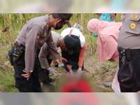Seorang Warga Kanor Bojonegoro Ditemukan Meninggal Dunia saat Cari Pakan Ternak di Sawah