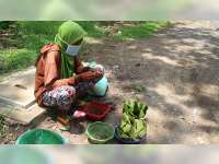 Warga Pinggir Hutan Jati Blora Mulai Berburu 'Ungker' untuk Dijual dan Dimasak Sendiri