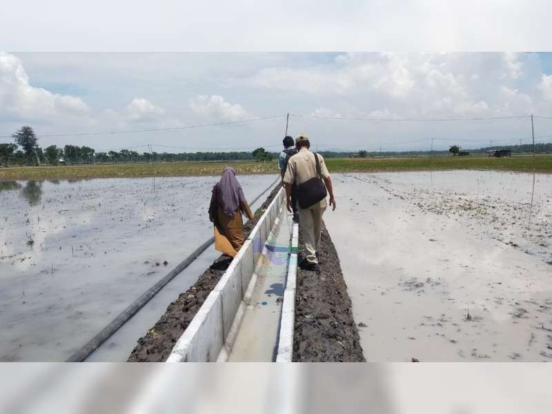 Tingkatkan Ketersediaan Air Pertanian, Pemkab Bojonegoro Rehabilitasi 70 Titik Saluran Irigasi