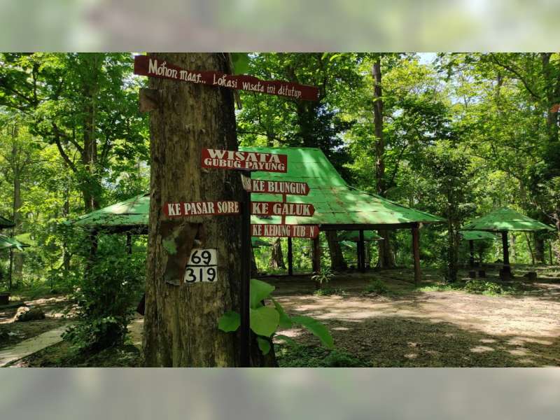 Perhutani Bakal Tata Kembali Objek Wisata Alam Gubug Payung, di Sambong Blora