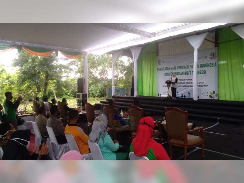 3 Ribu Pohon Trembesi Ditanam dalam Peringatan Hari Menanam Pohon Indonesia di Bojonegoro