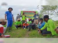Program 'Gropyokan', Pemdes Tumbrasanom Kedungadem Bojonegoro Beli Tikus Rp 1.000 Per Ekor