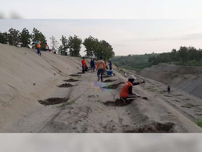 Pemdes Kedungsumber Temayang Bojonegoro Tanam 1.000 Pohon di Sepadan Sudetan Kali Gandong