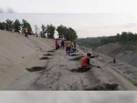 Pemdes Kedungsumber Temayang Bojonegoro Tanam 1.000 Pohon di Sepadan Sudetan Kali Gandong