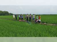 Diduga Serangan Jantung, Petani di Sumberrejo Bojonegoro Meninggal Dunia di Sawah