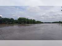 Tinggi Muka Air Bengawan Solo di Bojonegoro Masuk Status Siaga, Warga Diminta Waspada