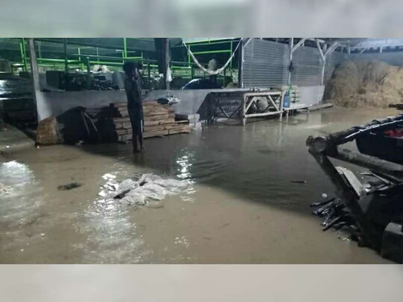Banjir Terjang Wilayah Kasiman, Malo dan Kedewan Bojonegoro, Ratusan Rumah Warga Tergenang