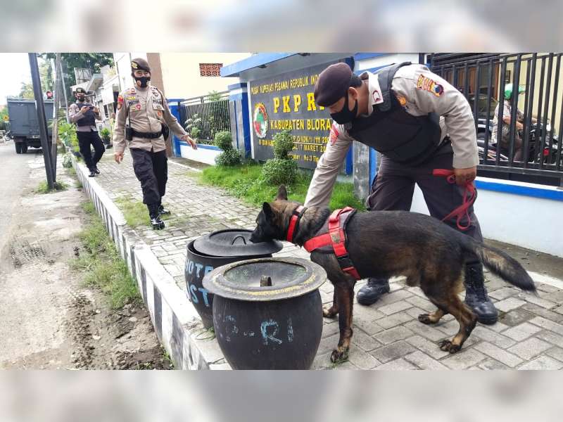 Polisi Kerahkan Anjing Pelacak dalam Pengamanan Penetapan Paslon Terpilih Pilkada Blora 2020
