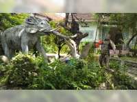 Asal-Usul Nama Gajah Bolong di Kecamatan Baureno, Bojonegoro