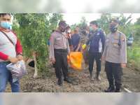 Seorang Kakek di Dander, Bojonegoro, Ditemukan Meninggal Gantung Diri di Pohon Kayu Putih