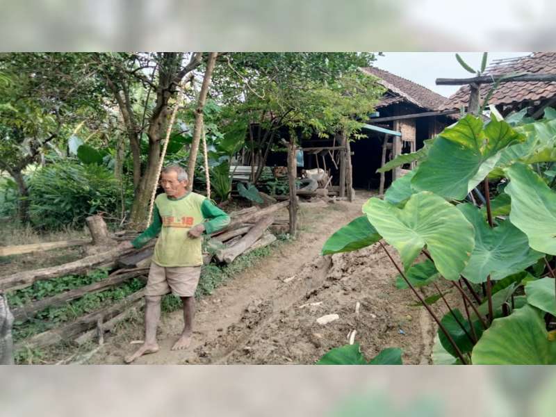 50 Tahun, Pasutri di Temayang, Bojonegoro Ini Memilih Tinggal di Tengah Hutan