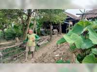 50 Tahun, Pasutri di Temayang, Bojonegoro Ini Memilih Tinggal di Tengah Hutan