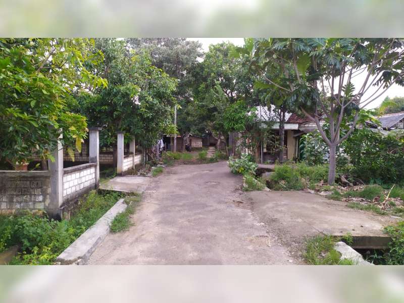 Kisah di Balik Desa Miliarder di Tuban, Tiga Dusun di Desa Wadung, Bakal Hilang dari Peta