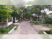 Kisah di Balik Desa Miliarder di Tuban, Tiga Dusun di Desa Wadung, Bakal Hilang dari Peta