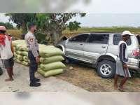 Tabrak Pohon Penghijauan, Pengemudi Mobil di Sumberrejo, Bojonegoro, Meninggal di TKP