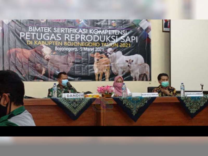 Pemkab Bojonegoro Gelar Bimtek Sertifikasi Kompetensi Petugas Reproduksi Sapi
