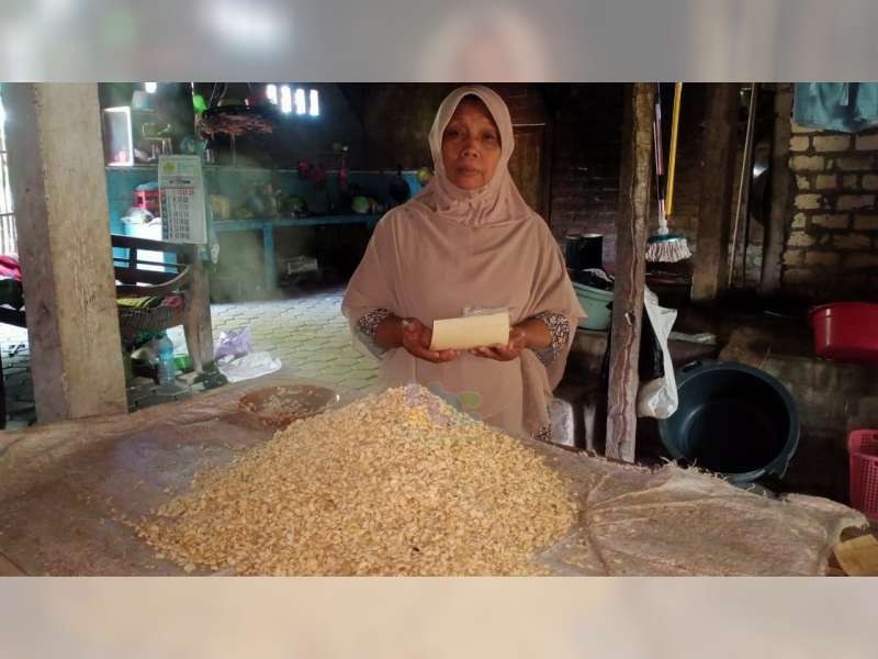 Di Usia Senja, Nenek Asal Trucuk, Bojonegoro Ini Masih Semangat Membuat Tempe