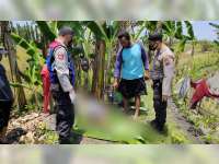 Diduga Serangan Jantung, Seorang Kakek Warga Bojonegoro Kota Meninggal Dunia di Sawah