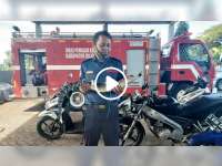 Heboh Seekor Buaya Muncul di Tengah Sawah di Temayang, Bojonegoro