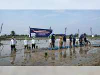 Pupuk Indonesia Uji Coba Pupuk Subsidi Phonska Oca di Bojonegoro