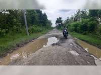 Bupati Blora Harap Anggaran Infrastruktur Jalan Tahun 2022 Naik Jadi Rp 400 Miliar