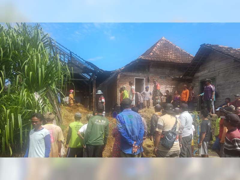 Diduga Akibat 'Bediang', Kandang Sapi Milik Warga Kedungadem, Bojonegoro, Terbakar