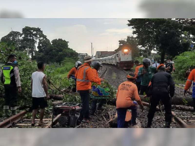 Pohon Roboh di Atas Rel di Sumberrejo, Bojonegoro, Satu Rangkaian Kereta Api Berhenti