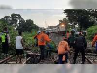 Pohon Roboh di Atas Rel di Sumberrejo, Bojonegoro, Satu Rangkaian Kereta Api Berhenti
