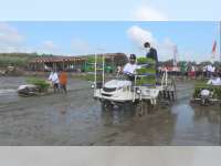 Kementerian Pertanian Lakukan Riset Pengembangan Padi Lahan Sawah Tadah Hujan di Blora