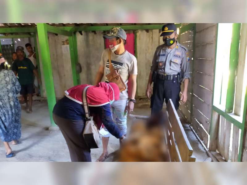 Diduga Depresi, Warga Tambakrejo, Bojonegoro, Ditemukan Meninggal Gantung Diri di Hutan
