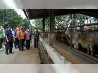 Maksimalkan Potensi Peternakan Sapi, Pemkab Blora Jajaki Kerja Sama dengan PD Dharma Jaya