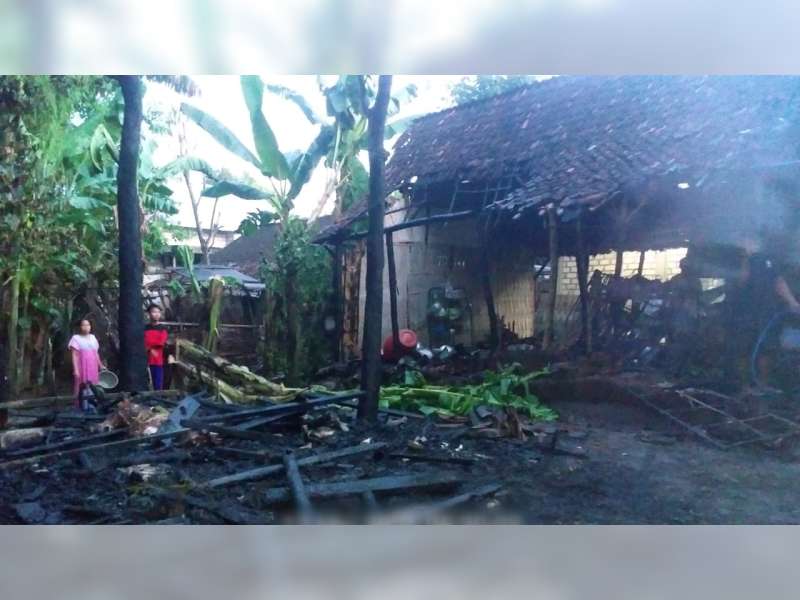 Kandang Milik Warga Sumberrejo, Bojonegoro, Terbakar, 7 Ekor Kambing Turut Terpanggang Api