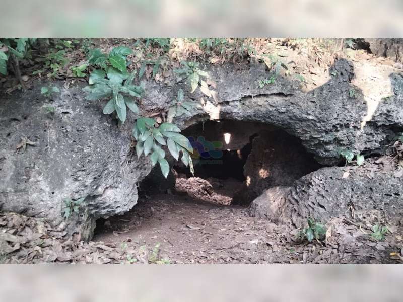 Menengok Potensi Goa Lowo di Kawasan Hutan Desa Bobol, Kecamatan Sekar, Bojonegoro
