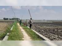 Polsek Kanor, Bojonegoro, Gelar Razia Kabel Listrik Jebakan Tikus di Sawah Pentani