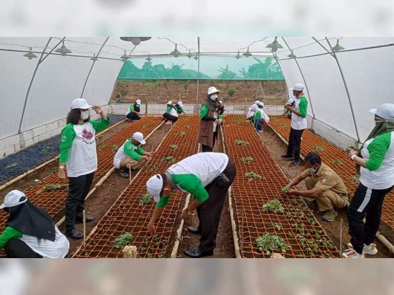 Pemkab Bojonegoro Budi Daya Bunga Krisan di Desa Klino, Kecamatan Sekar