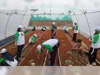 Pemkab Bojonegoro Budi Daya Bunga Krisan di Desa Klino, Kecamatan Sekar