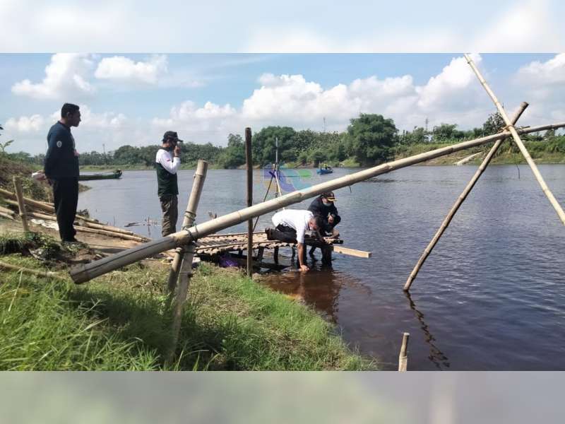 Diduga Tercemar, Air Sungai Bengawan Solo Di Wilayah Bojonegoro Berubah ...